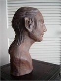 Elven Bust